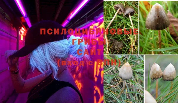 марихуана Аркадак