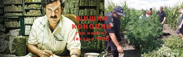 ECSTASY Армянск